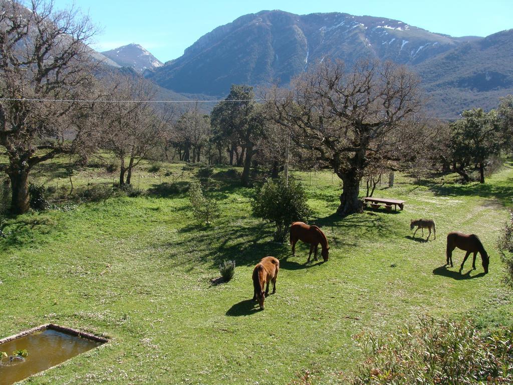 Vila Fattoria Mongerrate Isnello Exteriér fotografie